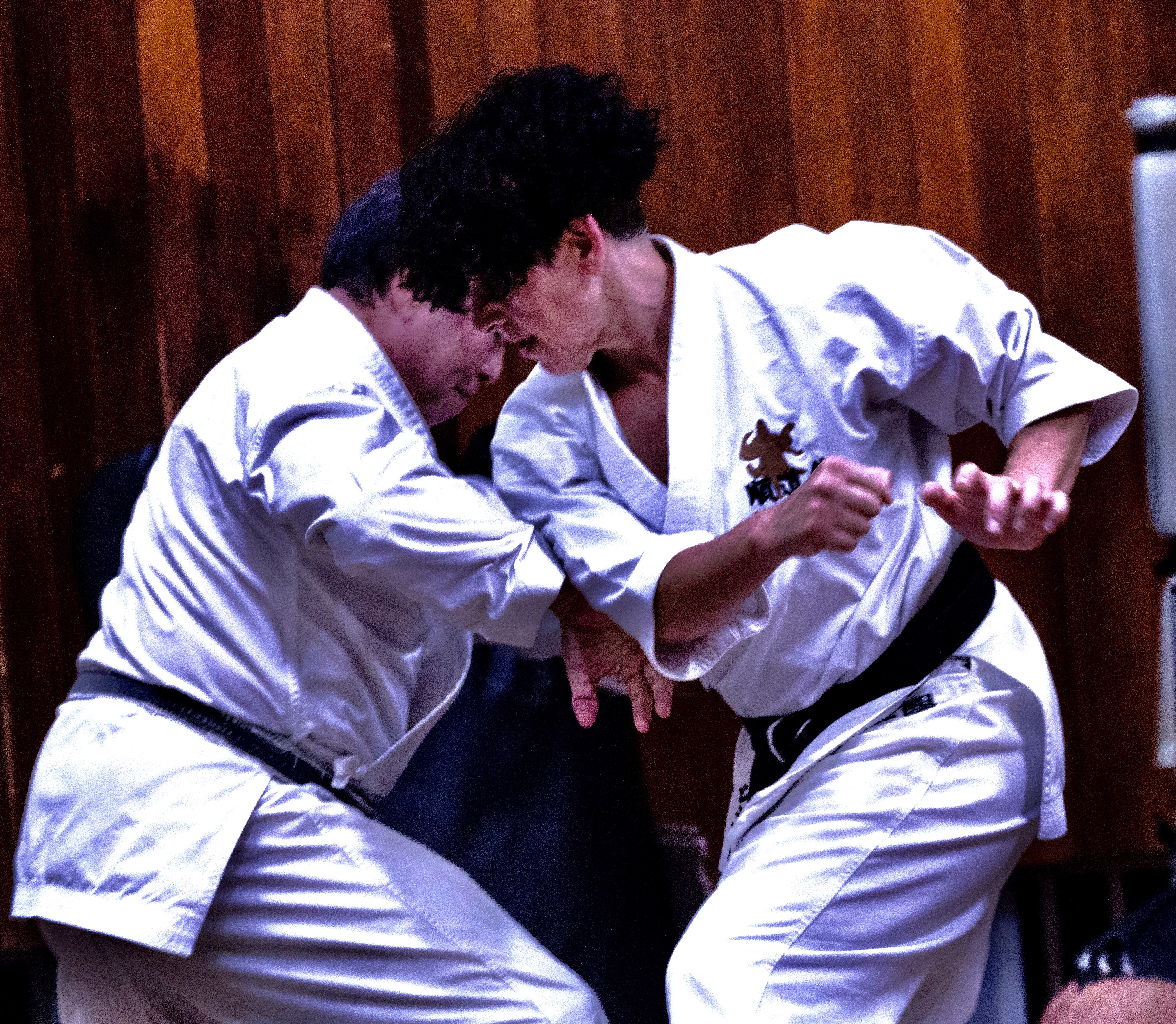 photos of goju ryu training and Okinawa